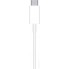 Apple MagSafe Charger MHXH3AM/A