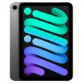 iPad mini (2021)